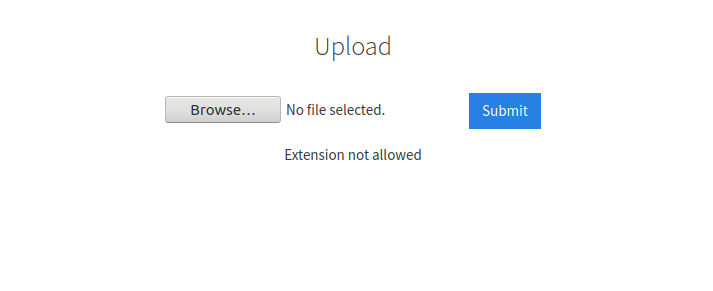 /internal upload form error